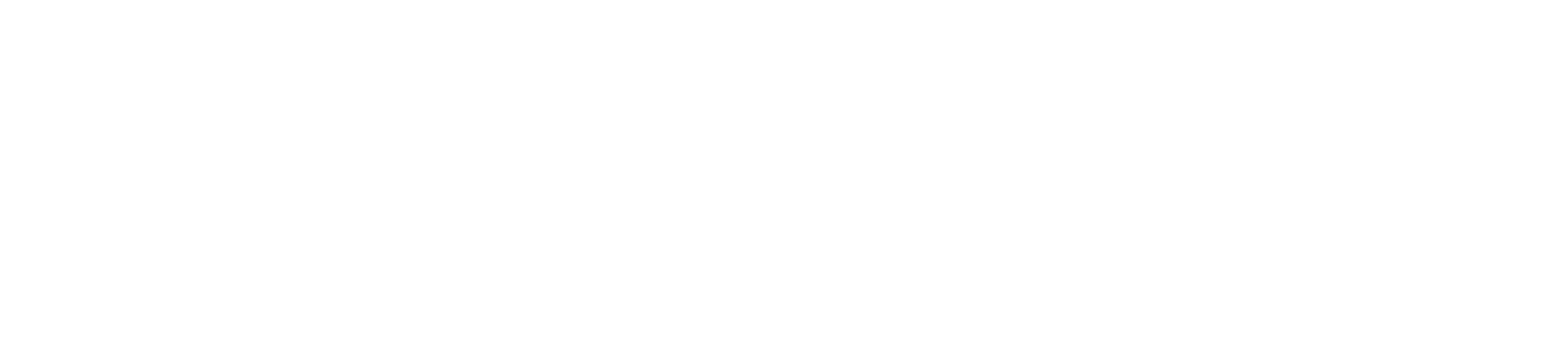 Smiles Tampa Logo